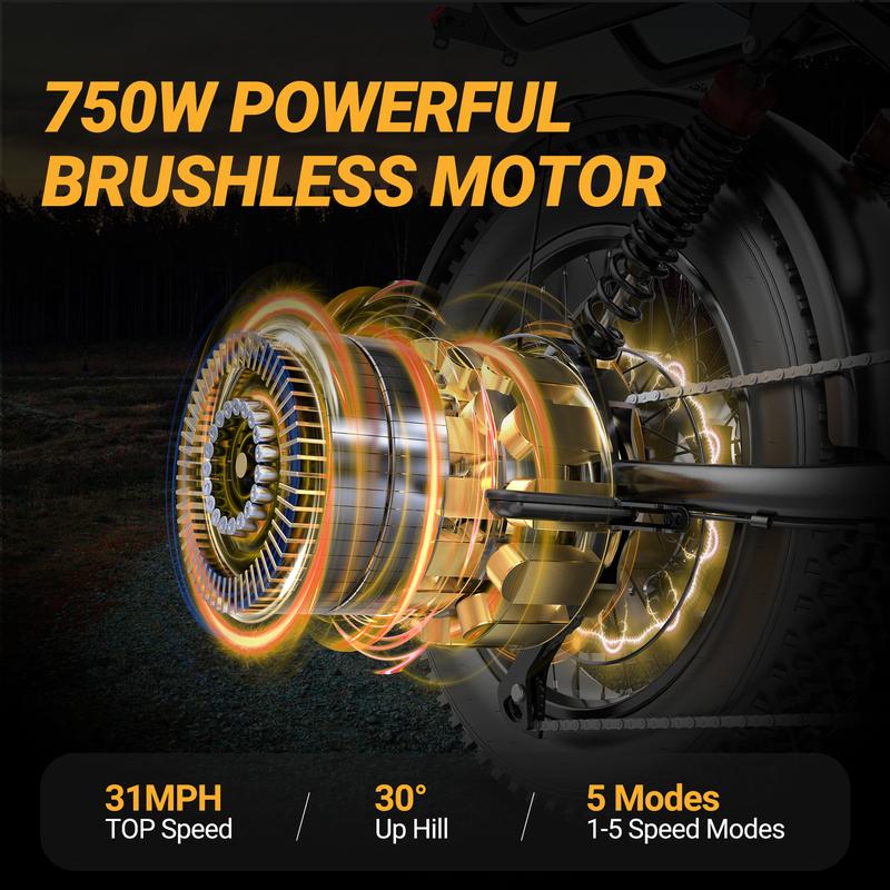 【VOLTVOGUE 】Electric Bike  UL 2849 Certified