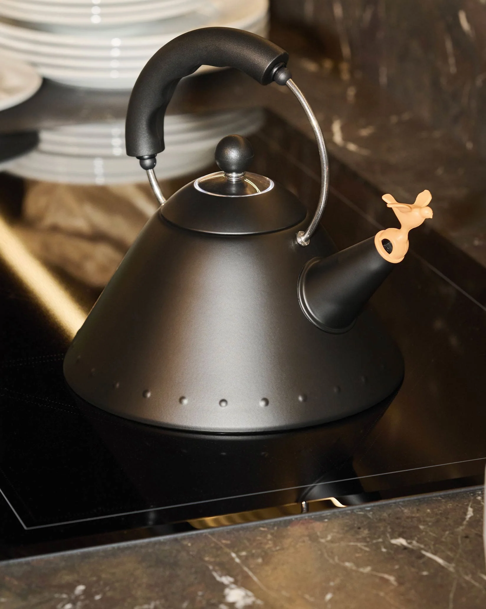 9093 Kettle Design Michael Graves