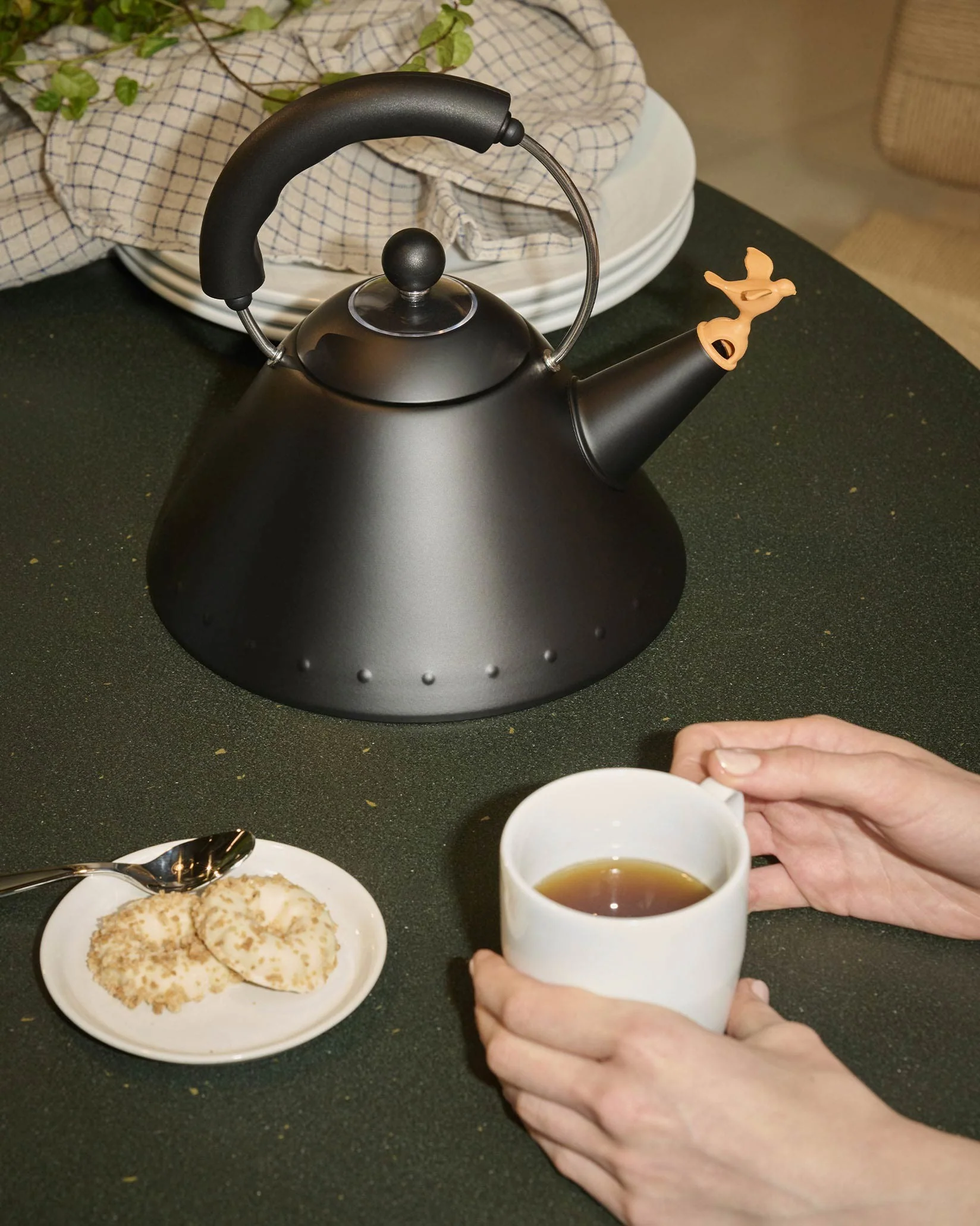 9093 Kettle Design Michael Graves