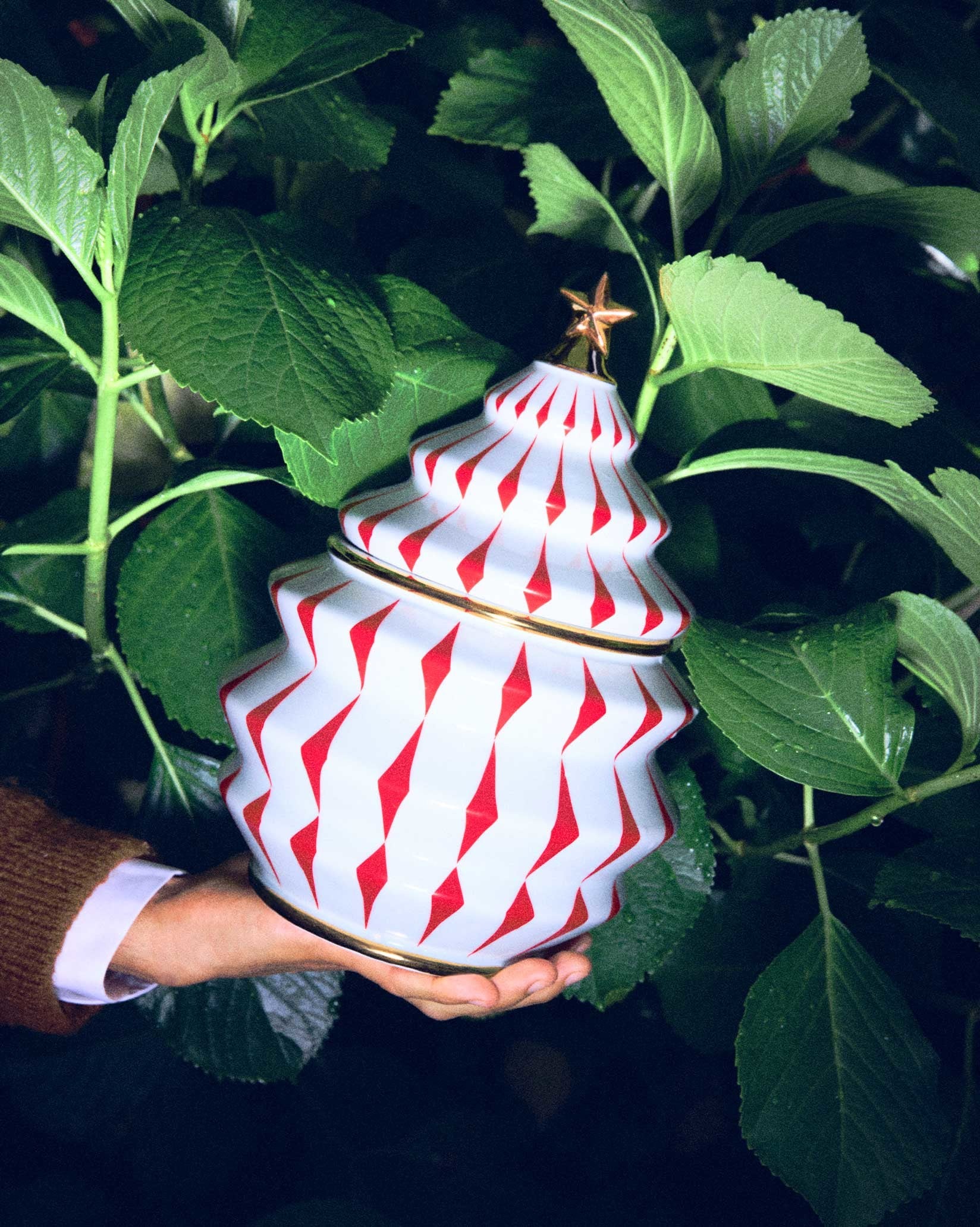 Delight Biscuit jar Design Nika Zupanc