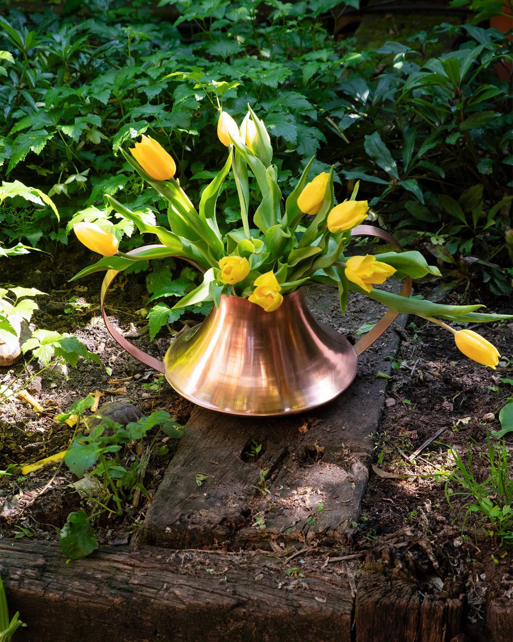 Conca Vase/container Design Giulio Iacchetti