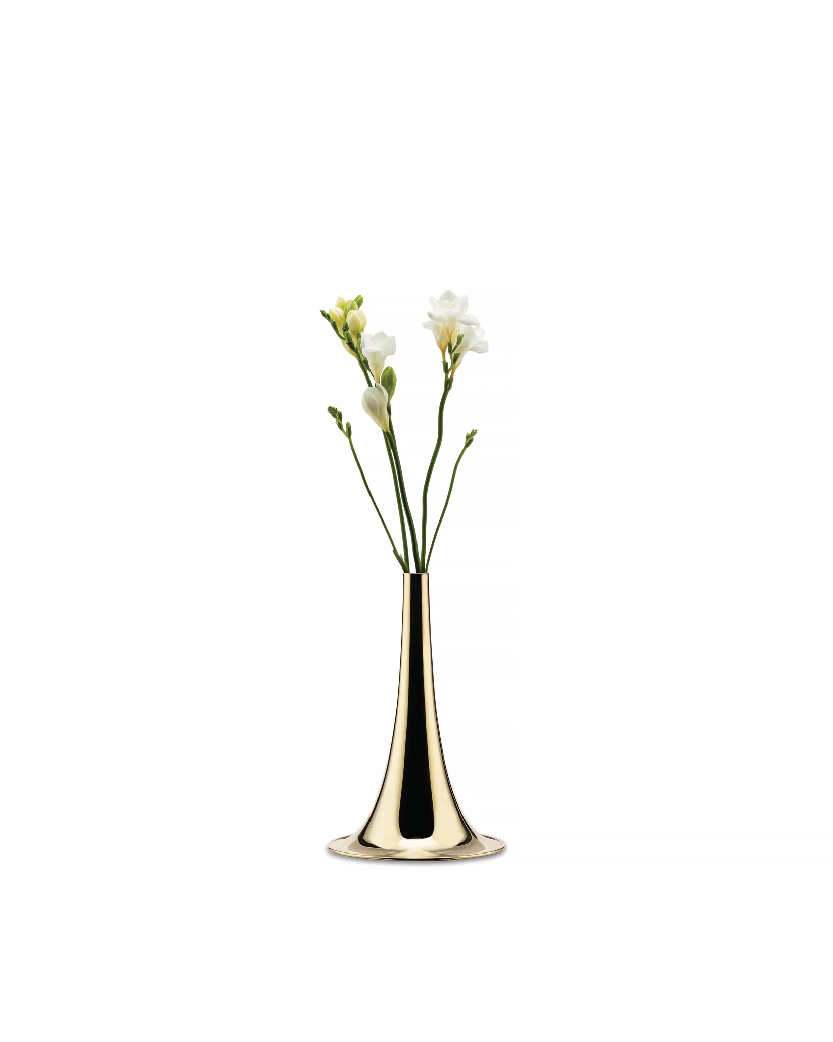 Trumpet Flower vase Design Michael Anastassiades