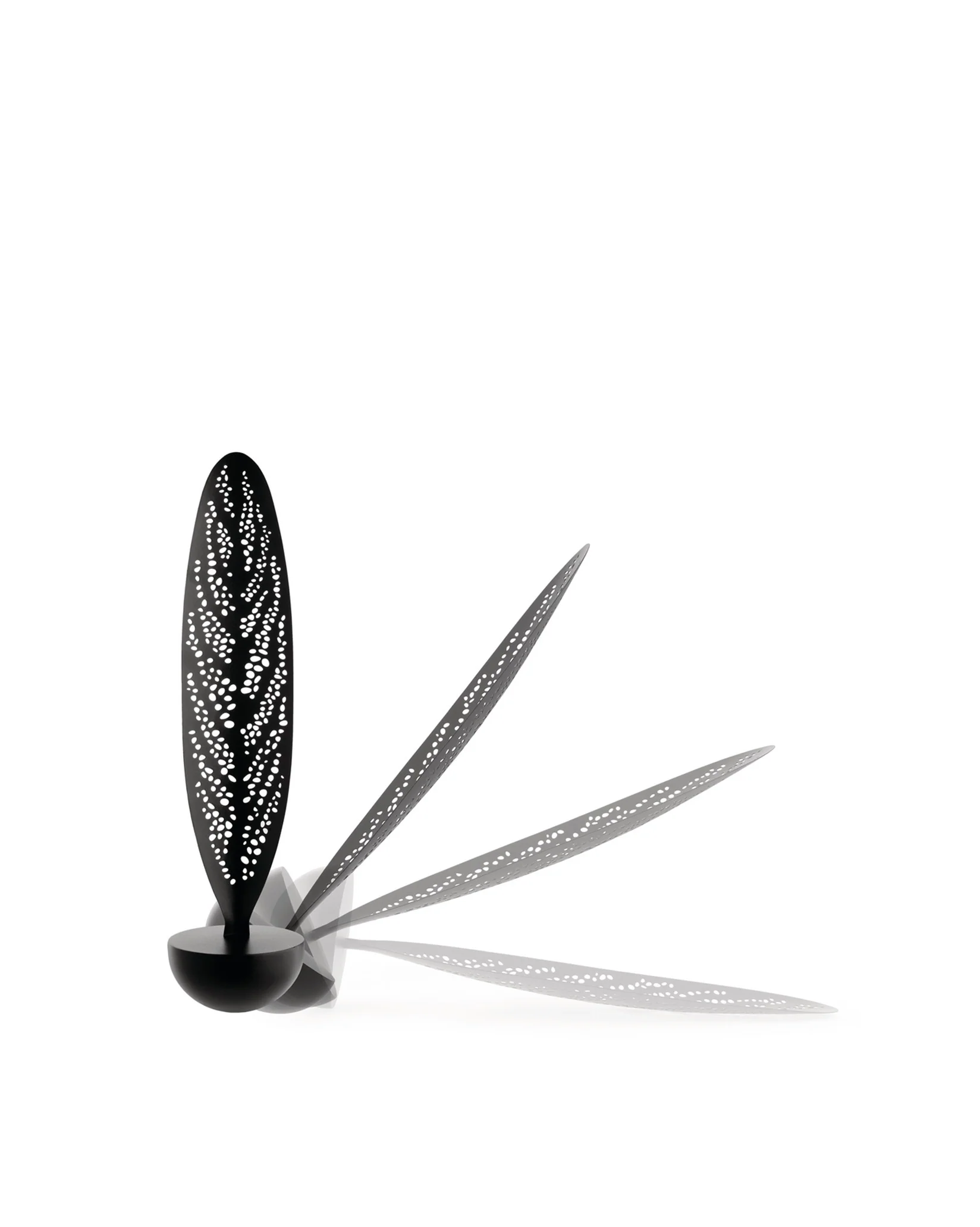 Lovely Breeze Rocking bowl Design Sakura Adachi