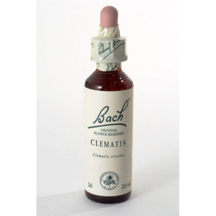 Clematis Fiori Di Bach® Original 20ml