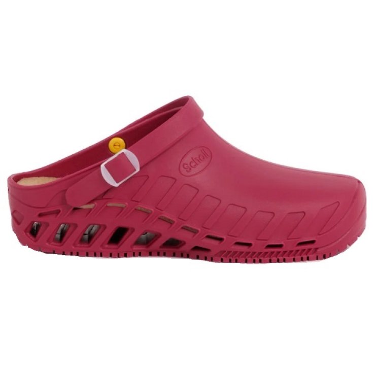 CLOG EVO TPR UNISEX VINO 36/37 Dr.Scholl®