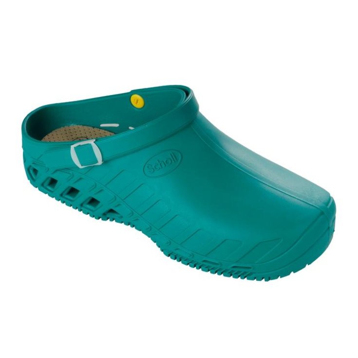 Clog Evo Unisex Scholl Verde 46-47
