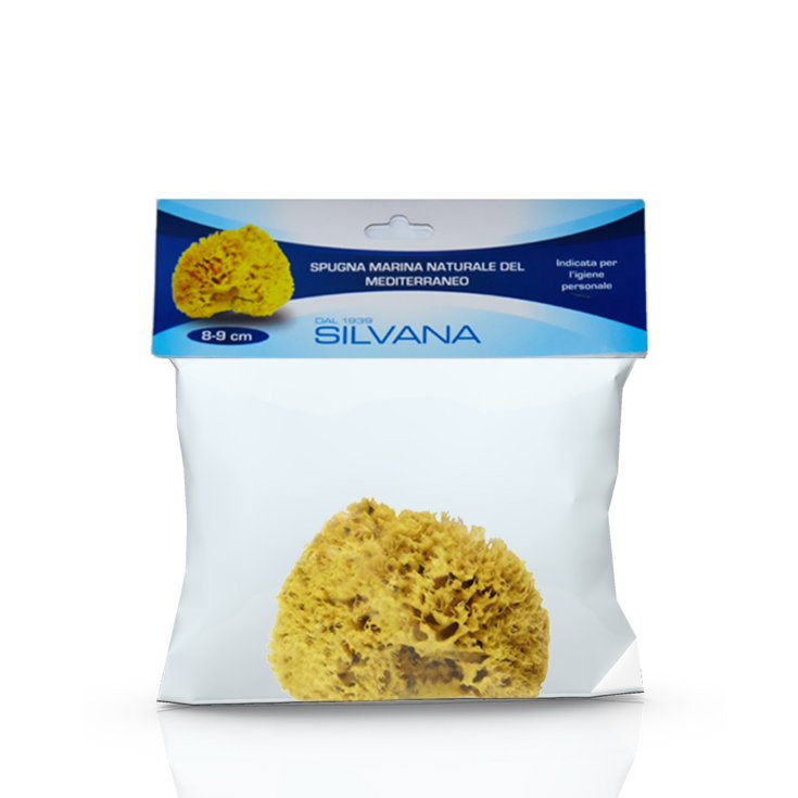 Laboratorio Silvana Dal 1939 Spugna Marina Naturale Del Mediterraneo Indicata Per L'Igiene Personale 8-9cm 1 Pezzo