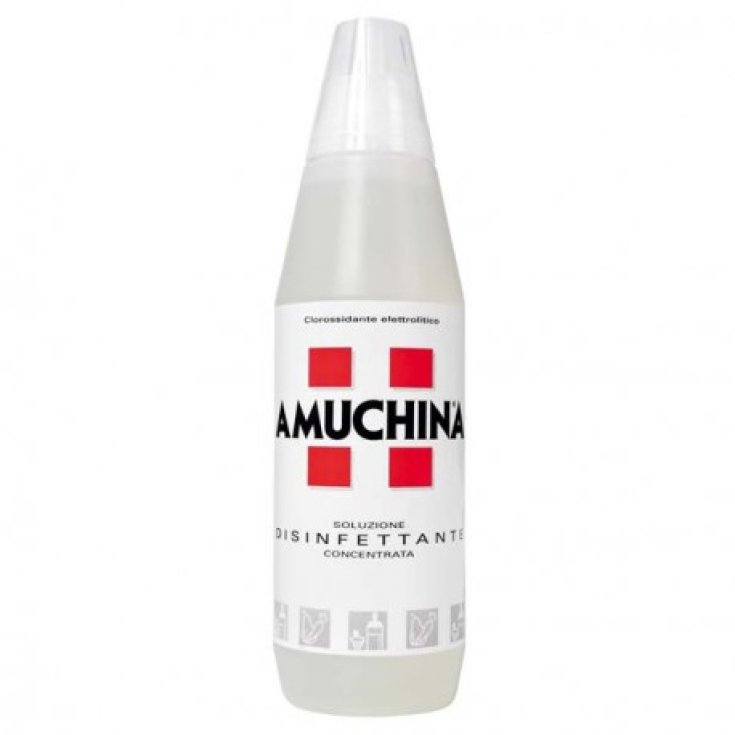 AMUCHINA DISINFETTANTE 1 LT