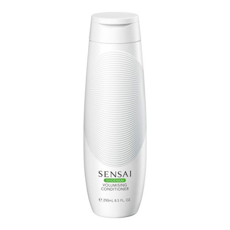 Kanebo Shidenkai Conditioner 250ml