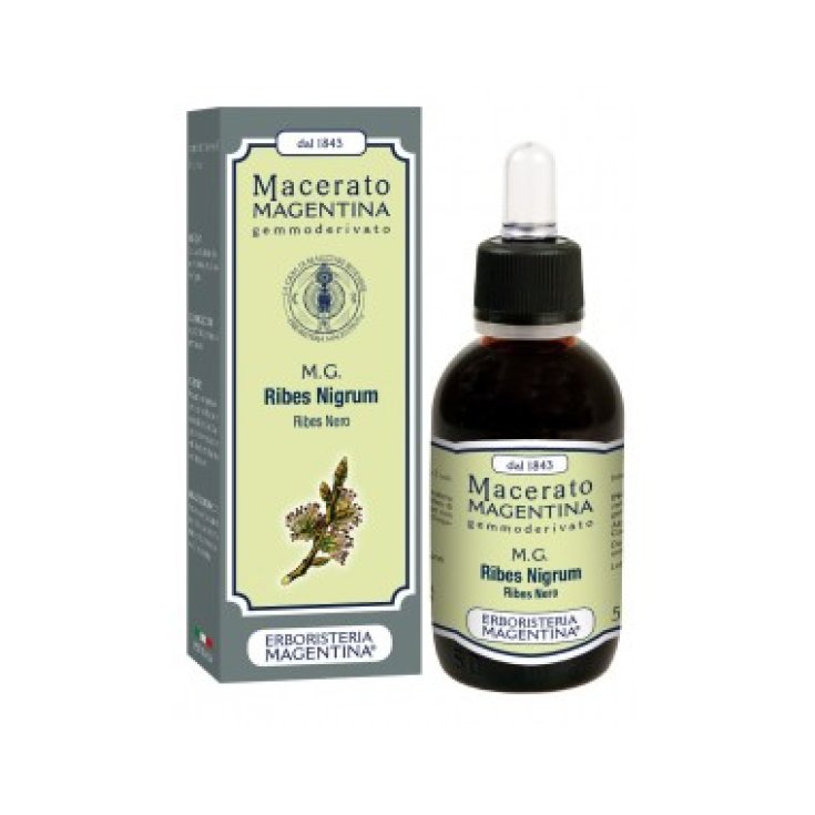 Macerati Magentina M.G. Ribes Nigrum Ribes Nero Macerato Gemmoderivato 50ml