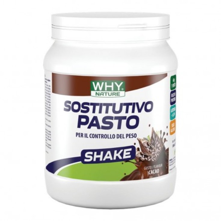 Sostitutivo Pasto Cacao WHY Nature 480g