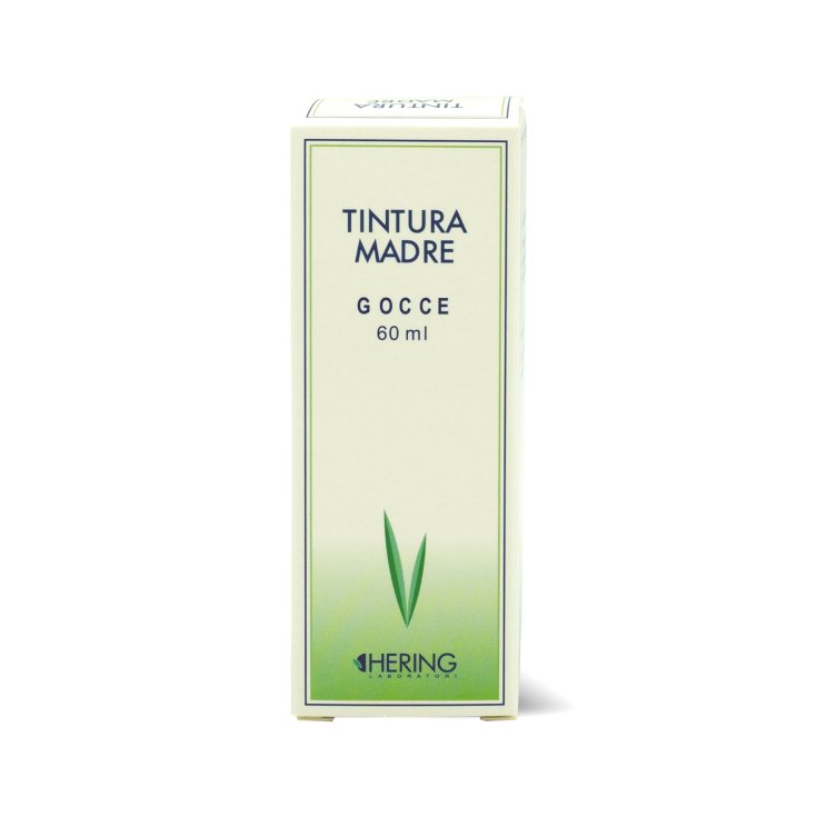 Uva Ursi Tm Hering 60ml