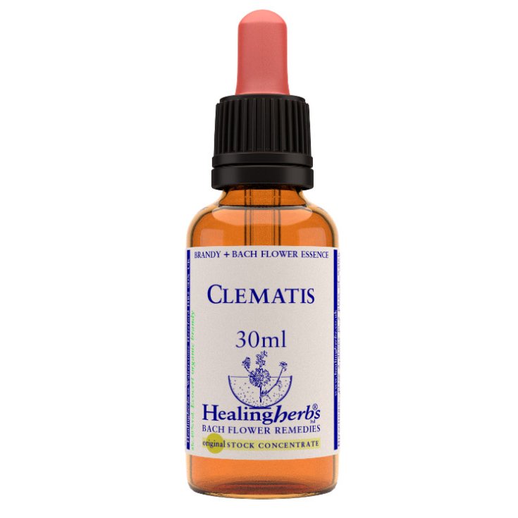 Clematis Bach Flower Remedies Healing Herbs 30ml