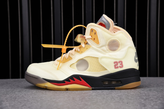 Air Jordan/Air Jordan 5
