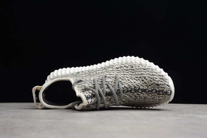Adidas YEEZY 350 Boost “Turtle Dove” AQ4832
