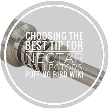 Choosing the Best Tip For Nectar Collectors