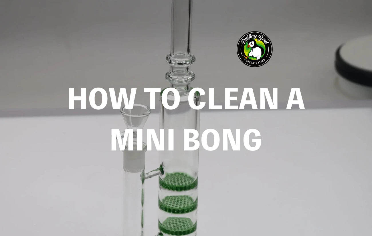 How To Clean A Mini Bong?