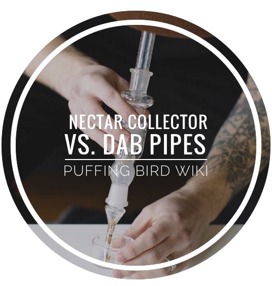 Nectar Collector Vs. Dab Pipes