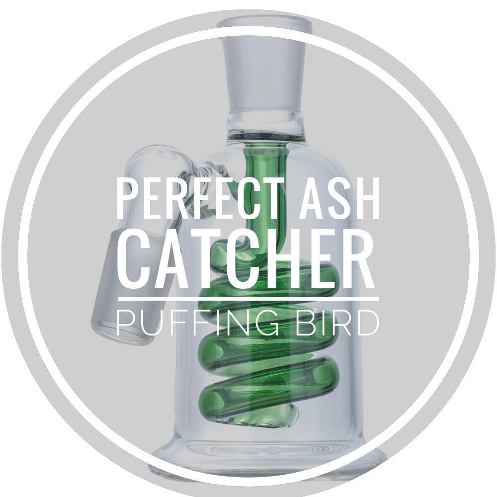 How To Pick The Perfect Ash Catcher For Bongs