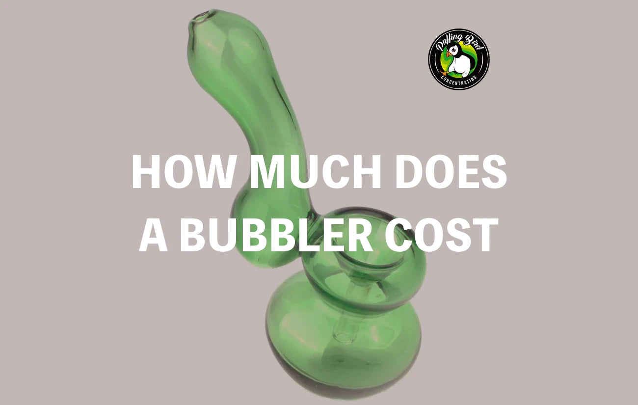 How Much Does A Bubbler Cost? | 2023 Update