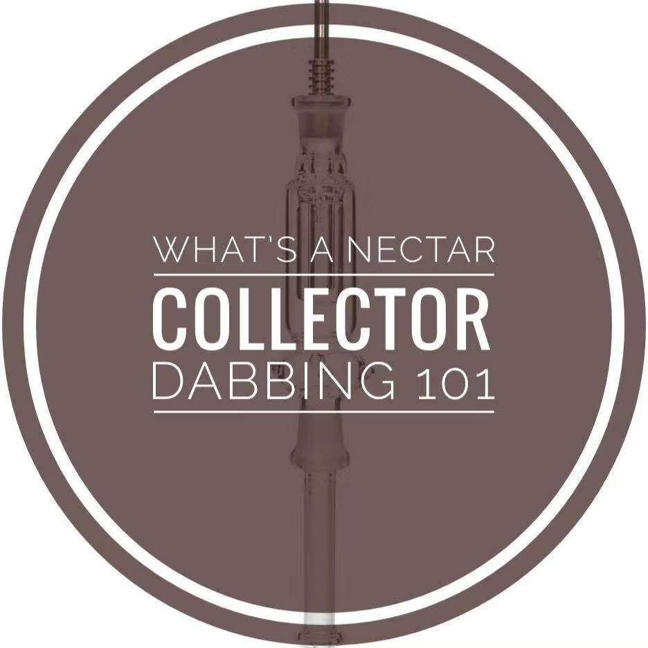 What's A Nectar Collector How To Use One For Dabs