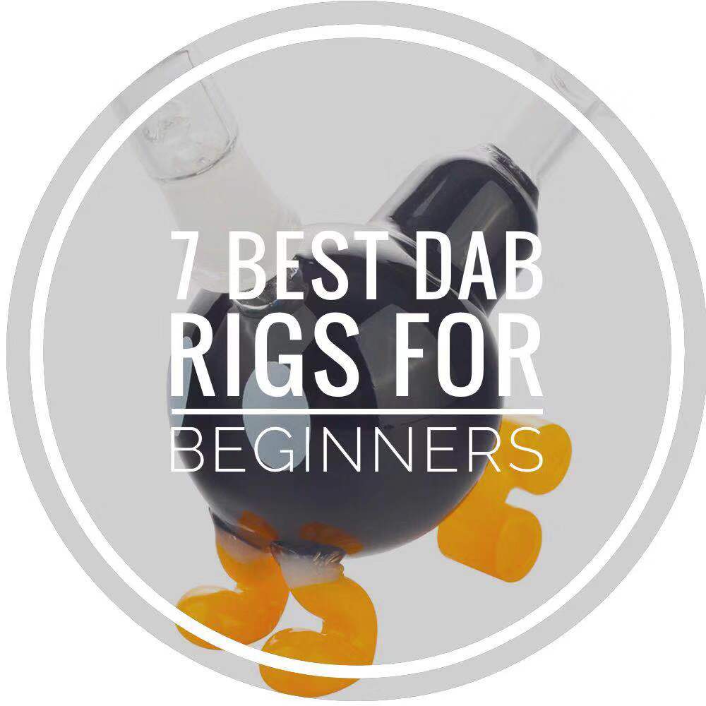 7 Best Dab Rigs for Beginners