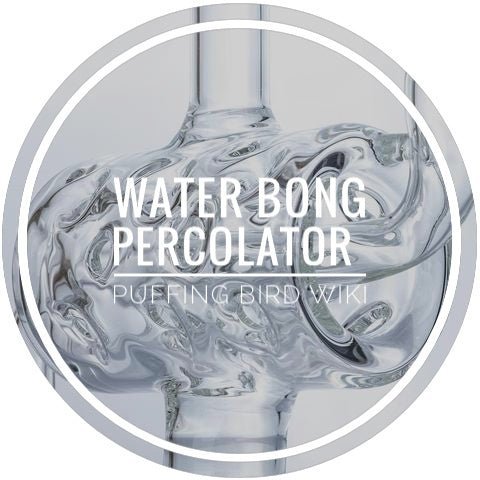 Water Bong Percolators Explained