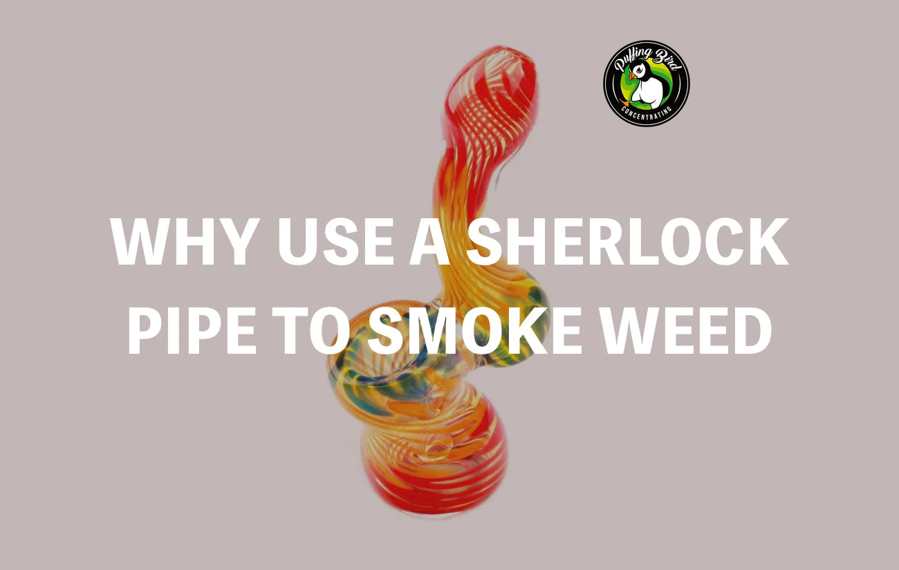 Why Use A Sherlock Pipe To Smoke Weed | 2023 update