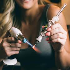 How to Use a Nectar Collector | Torch Method |2024