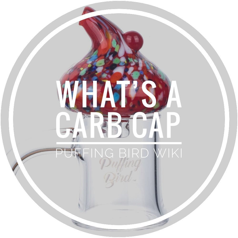 What's A Carb Cap? | Dabbing 101