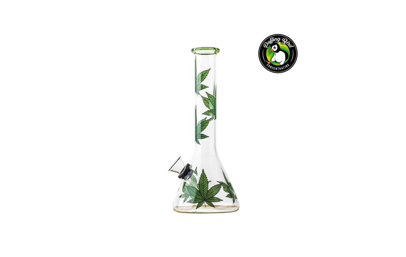 What Is A Beaker Bong?