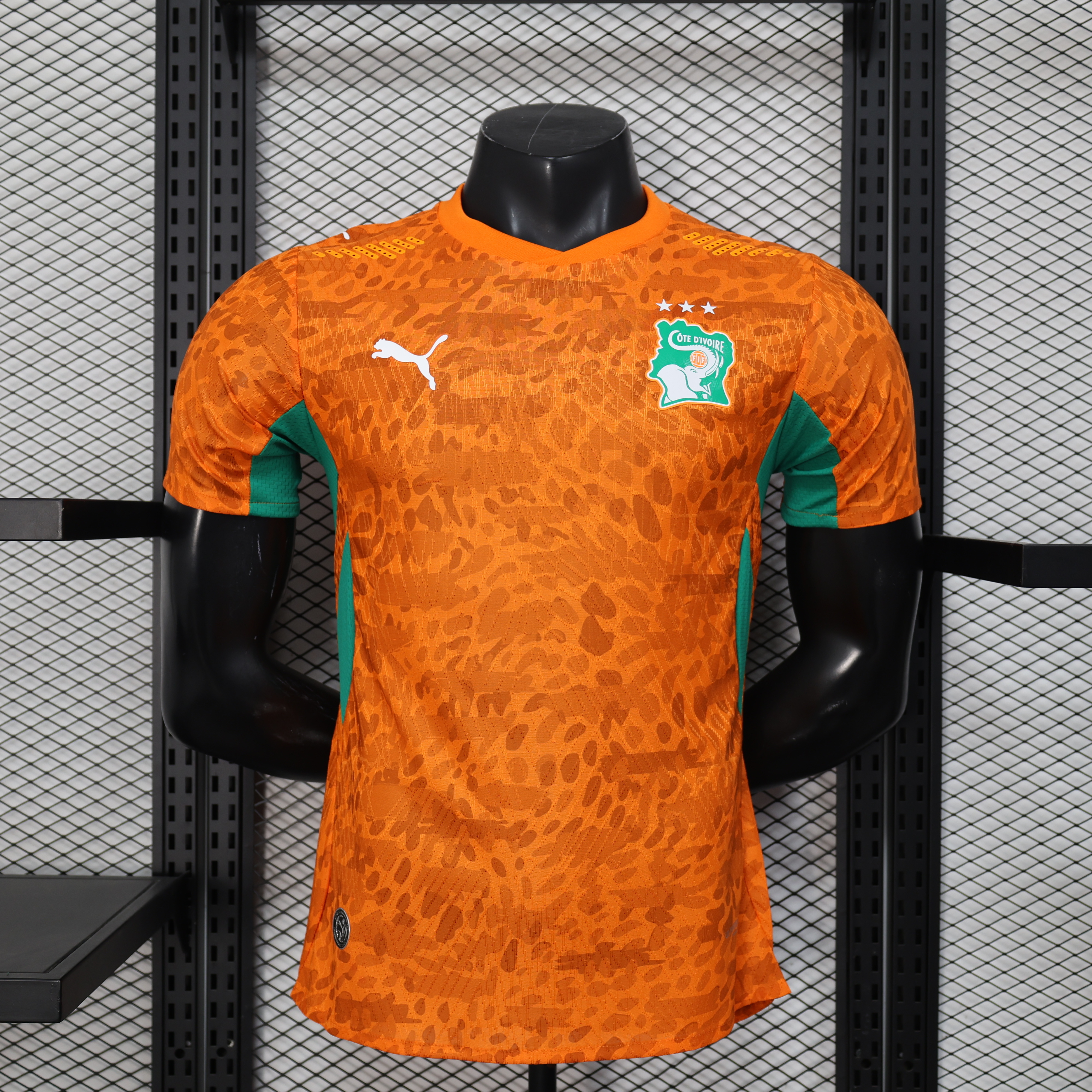2026 Ivory Coast home player version