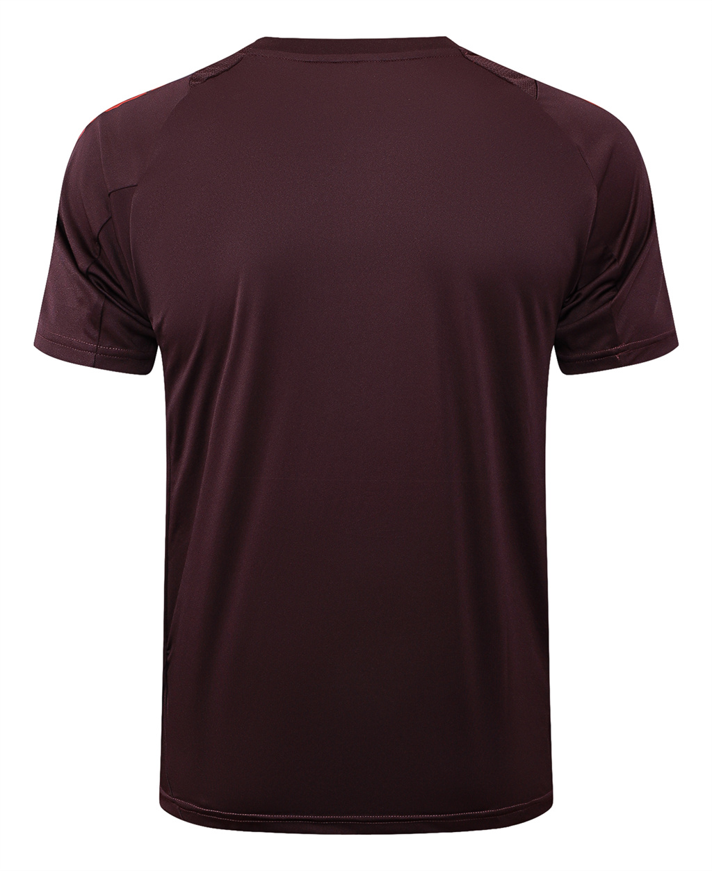 Bayern Munich Training Short Sleeve Jersey 24/25