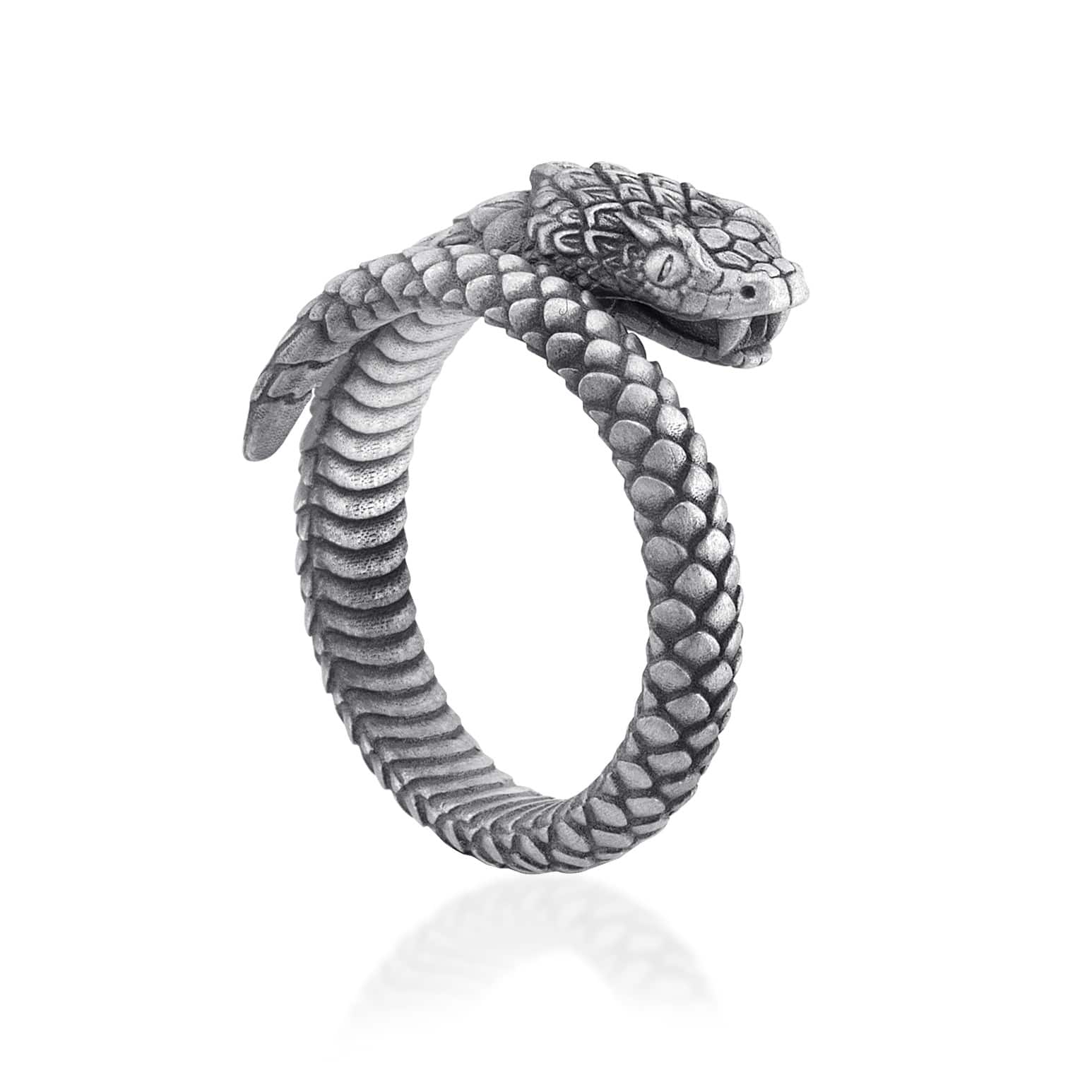 Snake Band Ring