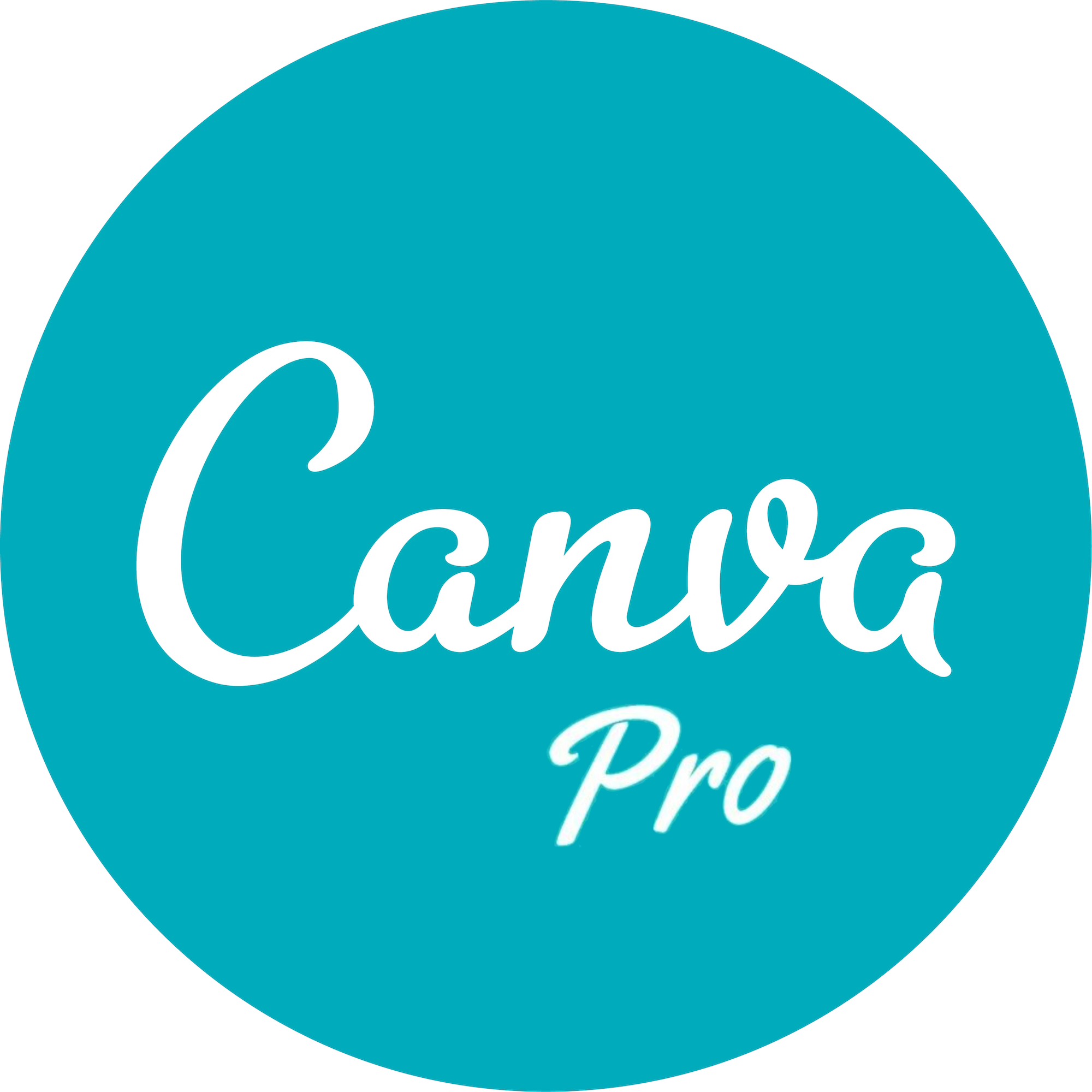 Canva Pro Private Account 1 Year Official Genuine Original Email Delivery Online Graphic Design Software