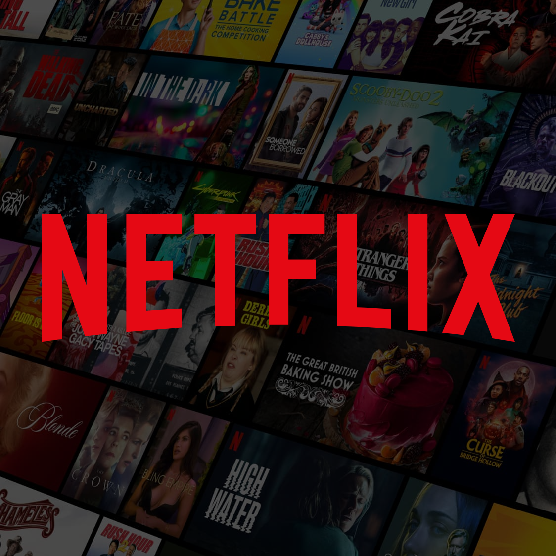 Netflix Account Premium