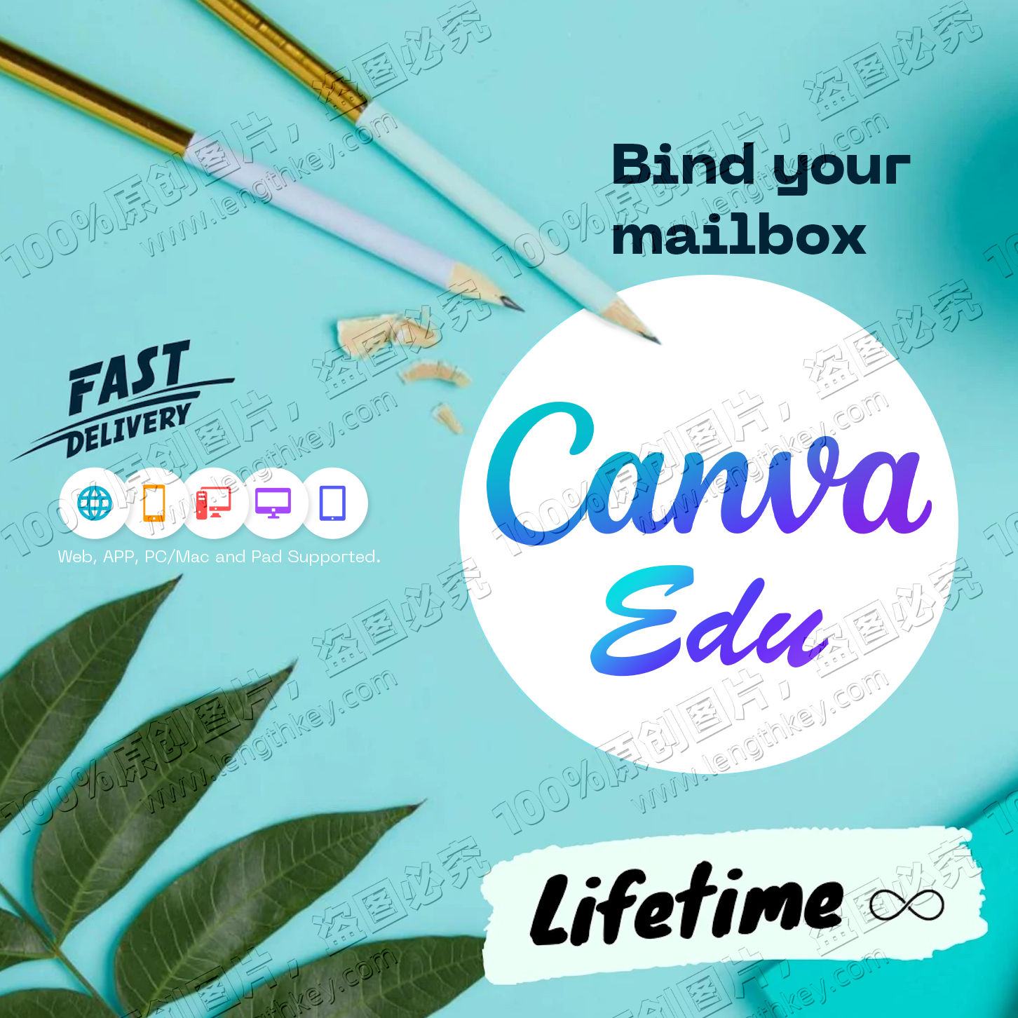 Canva Edu Private Account Lifetime Official Genuine Original Email Delivery Online Graphic Design Software