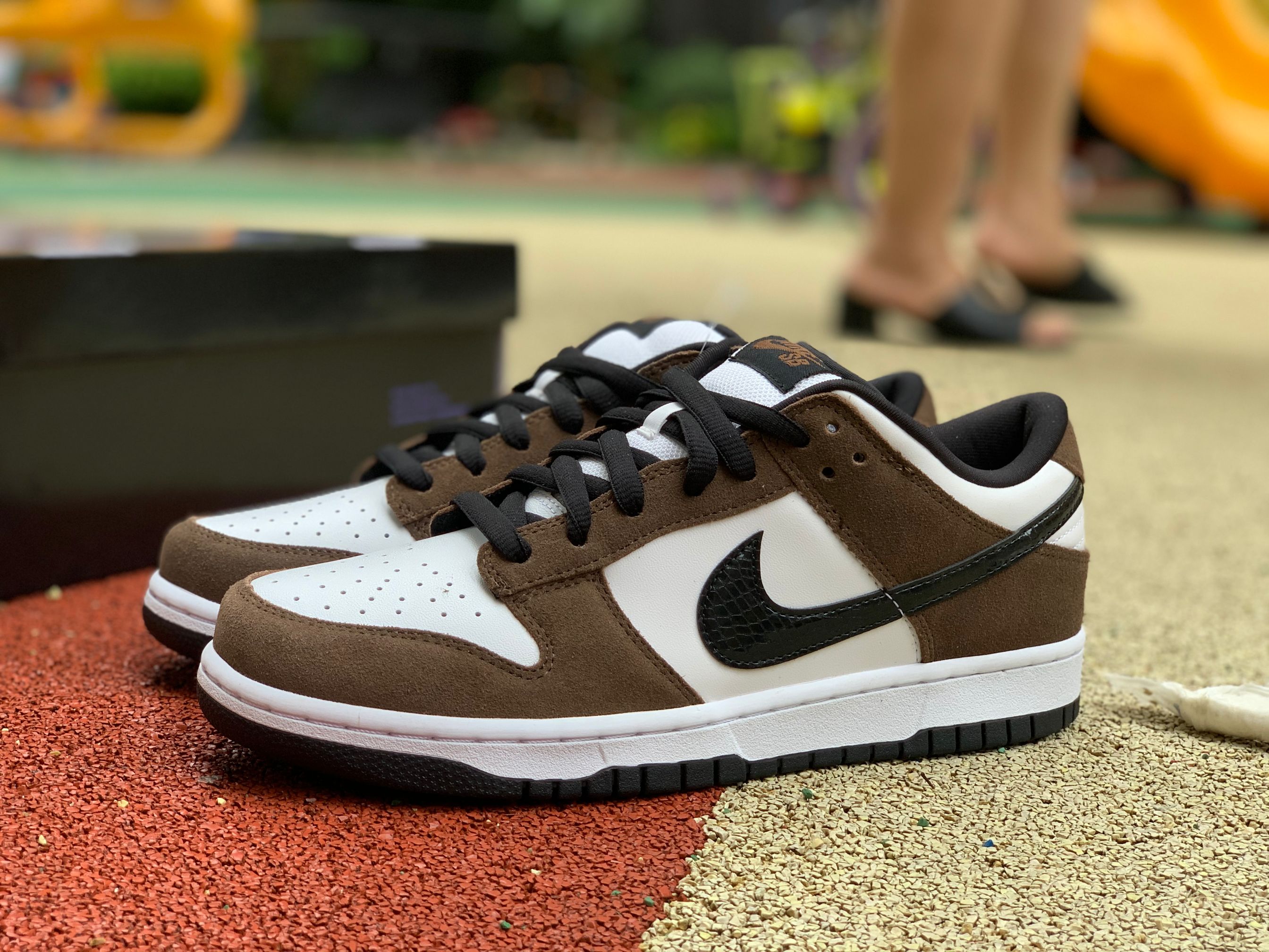 Nike Dunk Low Pro SB Trail