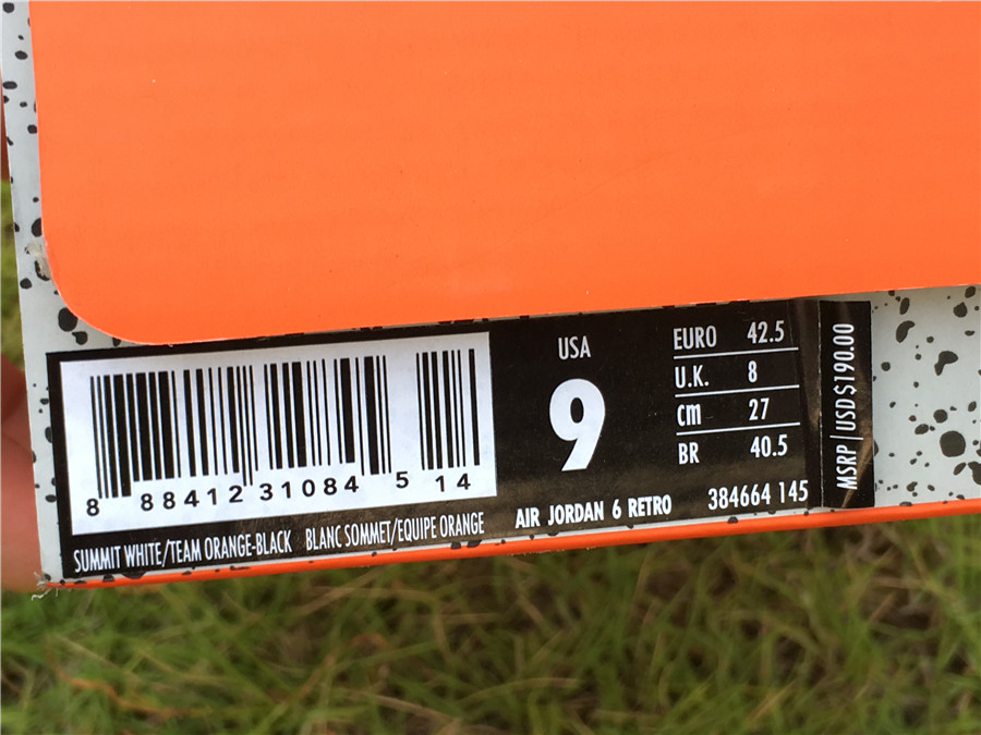 Air Jordan 6 “Gatorade”