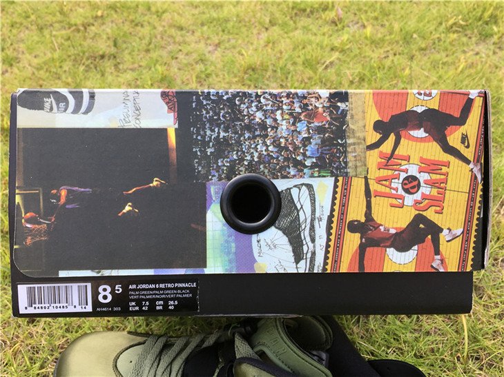 Air Jordan 6 Nylon Green