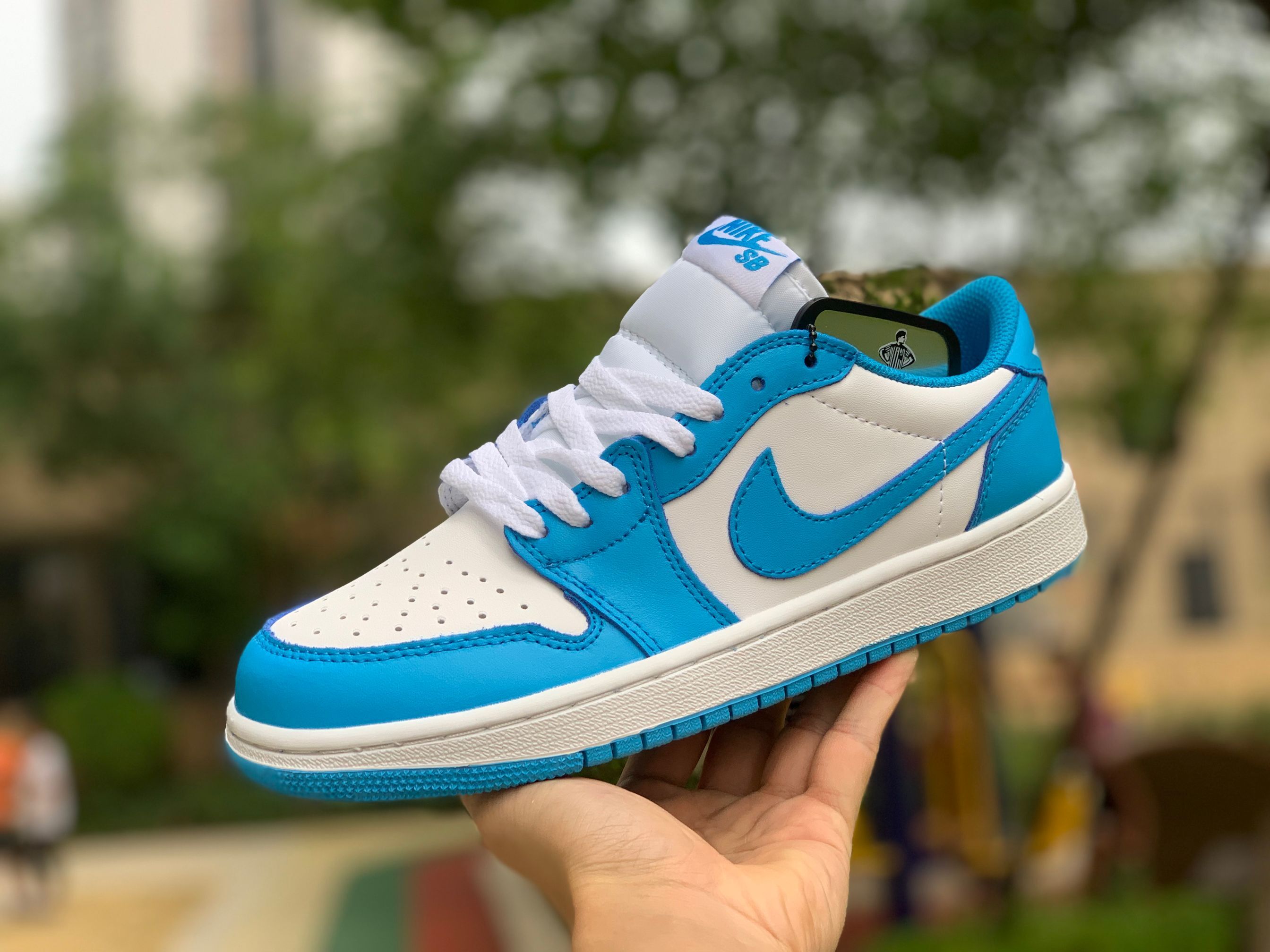 Air Jordan 1 Low SB X Eric Koston 'Powder Blue'