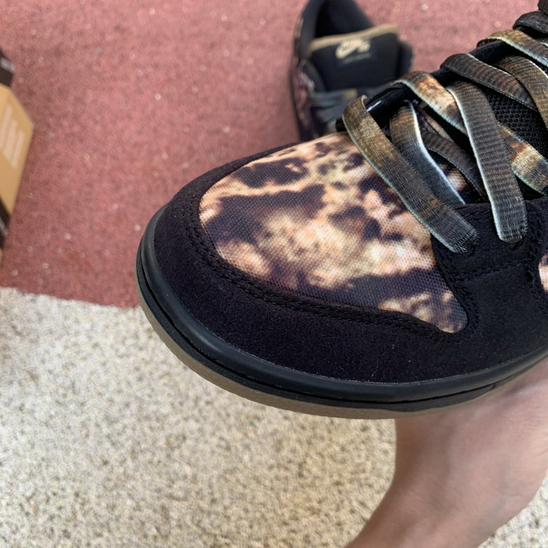 Nike SB Dunk Low Pushed 2