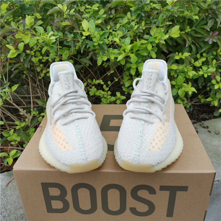 Yeezy Boost 350 Boost V2 Chameleon