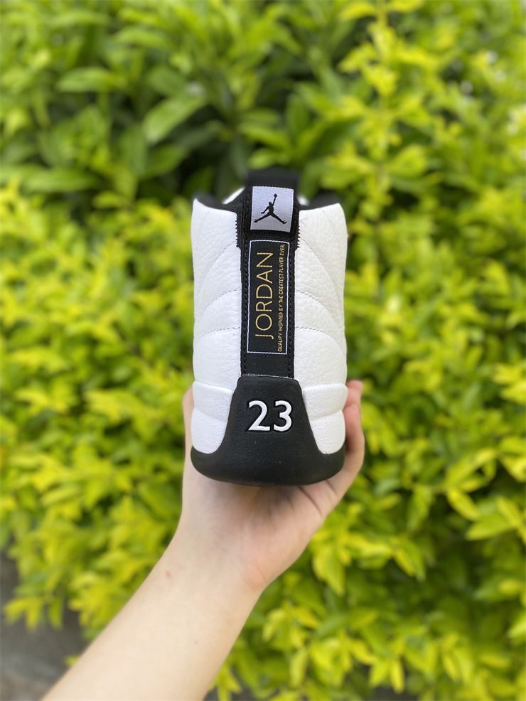 Air Jordan 12 Royalty