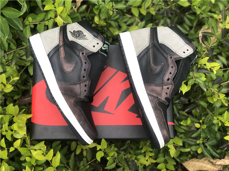 Air Jordan 1 “Rust Shadow”