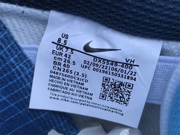 Nike Dunk Low WHY SO SAD X NIKE SB