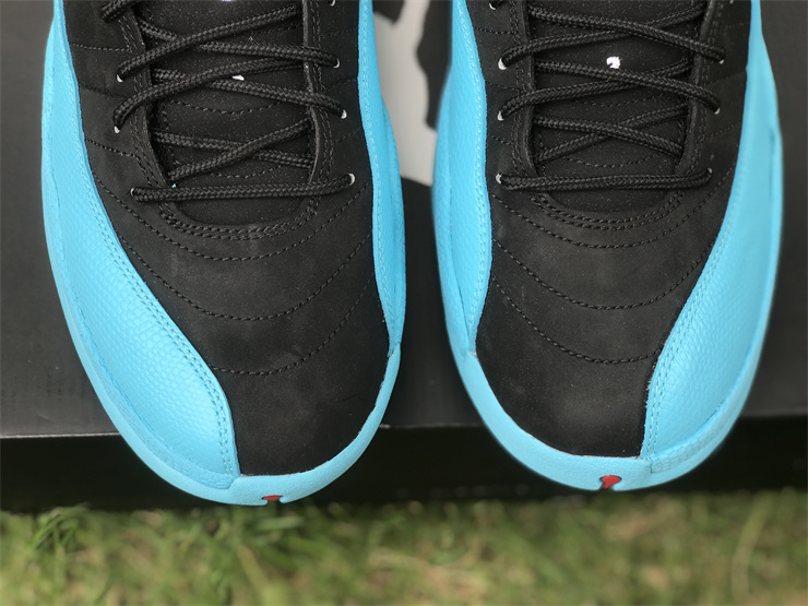 Air Jordan 12 Gamma Blue