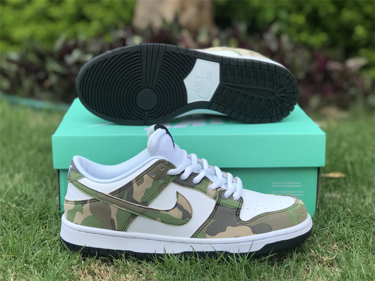 Nike Dunk Low Camouflage