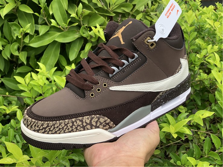 Air Jordan 3 TS