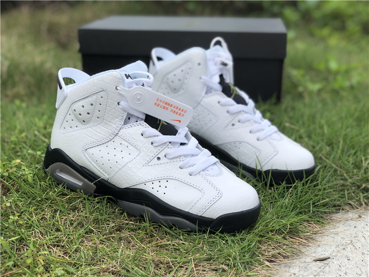Air Jordan 6 GS “Alligator”